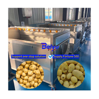 Baiyu Industriële Aardappel Wassen Peeling Polijstmachine Wortel Ui Energiezuinig Besparen Water Fruit Verwerkingsfabriek