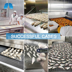 Arkref Hải Sản Đường Hầm Loại Nhiệt Độ Thấp Tủ Đông Nhanh Chóng Đông Lạnh Bánh Bao Dây Chuyền Sản Xuất - Product Image 4