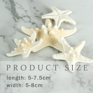 5-8 cm Naturale Mediterraneo Sea Stars Carino Mini Stelle Marine Decorazione del Mestiere di DIY Conchiglie Sulla Spiaggia Cottage Bambini Arredamento Camera Da Letto ornamenti - Product Image 4