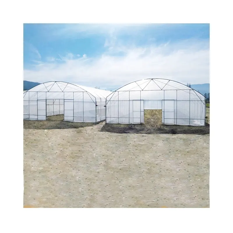 Industrial Hemp Greenhouse Pipe Agricultural Single Span Tunnel Film Polycarbonate Greenhouse
