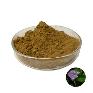 <span class=keywords><strong>Phyllanthus</strong></span> urinaria bột <span class=keywords><strong>phyllanthus</strong></span> urinaria chiết xuất chất lượng cao <span class=keywords><strong>phyllanthus</strong></span> urinaria chiết xuất bột - Product Image 6