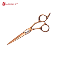 RK054 SUS 440A Ciseaux De Coupe De Cheveux En Acier Inoxydable Étudiant Ciseaux De Coiffeur Professionnels