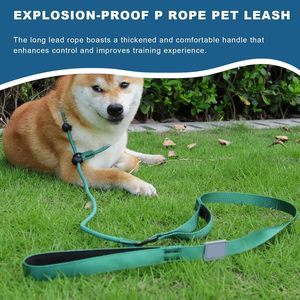 कस्टम 2 में 1 नायलॉन पालतू कुत्ते पट्टा पर्ची रस्सी लीड एडजस्टेबल लूप ट्रेनिंग स्लिप कुत्तों के लिए नरम हैंडल के साथ 170 सेमी लीड - Product Image 2