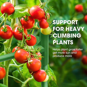 Estructura de acero galvanizado para enrejado de plantas con marco A resistente para soporte de jardín de verduras vides pesadas - Product Image 6