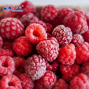 Sinocharm, Fabricante de Frutas Congeladas, Certificación BRC, Frambuesas Rojas IQF 90% Enteras, <span class=keywords><strong>Precio</strong></span> al por Mayor, 10 kg de Frambuesas Congeladas para Yogur - Product Image 1