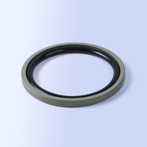 <span class=keywords><strong>PTFE</strong></span> hydraulische zuigerdichting met OEM ODM service voor hydraulische persafdichting - Product Image 2