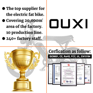 OUXI H9 Standard UE Vélo Électrique Tout Suspendu de 20 <span class=keywords><strong>Pouces</strong></span> avec Batterie 48V 15Ah et Moteur 250W, <span class=keywords><strong>Fatbike</strong></span>, Disponible depuis les Entrepôts UE et US - Product Image 4