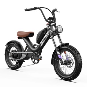 Bicicleta Eléctrica con Llantas Gruesas de 20 Pulgadas, 2000W, Batería de Litio, Cuadro de Acero al Carbono para Entrega de Comida - Product Image 6