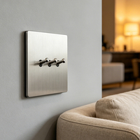Prise murale universelle électrique en acier inoxydable brossé KSQ 10A avec interrupteurs à bascule pour éclairage