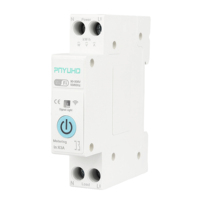 Kwh Disjoncteur de surveillance de mesure 1P + N 63A WIFI Smart Switch Tuya Smartlife Timer Relay MCB Energy Meter Smart Switch Home