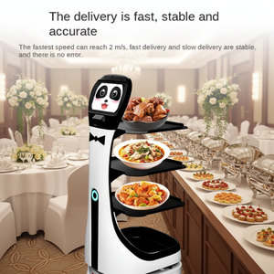 Robot di Servizio Intelligente Femminile per Accoglienza e Benvenuto - Robot Umanoide per Servizi - Product Image 6