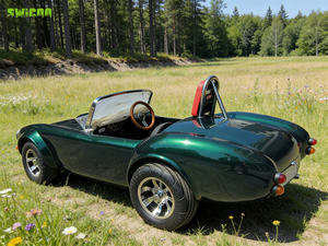 SWICOO Mini Coche Eléctrico <span class=keywords><strong>Cobra</strong></span> de 1500w, 2 Plazas, Tipo Golf Cart, Mini Hot Rod, <span class=keywords><strong>Venta</strong></span> Directa de Fábrica, Solo 40% de Depósito - Product Image 3