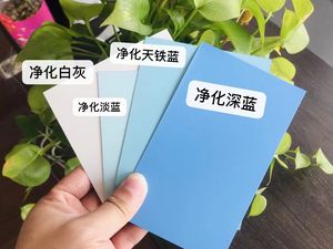 Bobine d'acier galvanisé prélaqué PPGI - Fournisseur chinois, couleurs personnalisées pour portes métalliques et panneaux architecturaux - Product Image 3