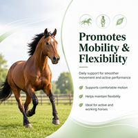 Service OEM/ODM : Supplément de Glucosamine pour Chevaux 5000, Poudre 16 Oz, Soutien pour la Santé des Hanches et des Articulations des Chevaux