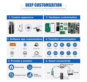 Màu Vàng Thông Minh Khóa Cửa Vân Tay Cho Cửa Thép Nhà Căn Hộ An Ninh Với Wifi Alexa Hợp Kim Nhôm Thẻ Nhớ Dữ Liệu - Product Image 6