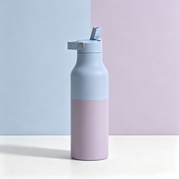Bouteille isotherme sous vide 500 ml, best-seller, non toxique, anti-fuite, sans BPA, avec paille rabattable, logo personnalisé, pour eau bouillante, sport et voyage