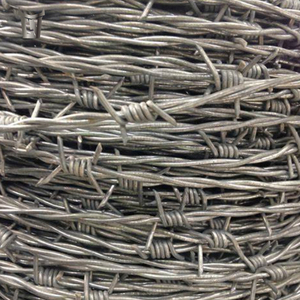 Mejor <span class=keywords><strong>Alambre</strong></span> <span class=keywords><strong>de</strong></span> Púas <span class=keywords><strong>de</strong></span> Acero Galvanizado <span class=keywords><strong>de</strong></span> Alta Resistencia <span class=keywords><strong>de</strong></span> Fábrica China, <span class=keywords><strong>Alambre</strong></span> <span class=keywords><strong>de</strong></span> Púas para Cercas, <span class=keywords><strong>Alambre</strong></span> <span class=keywords><strong>de</strong></span> Púas Tipo Cuchilla - Product Image 5