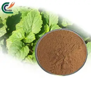 Pogostemon Cablin/Patchouli Plants/Agastache Rugosa Extract