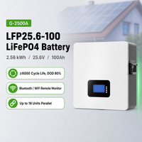 Batterie LiFePO4 murale séparée 25,6V 100Ah 2,56kWh pour stockage d'énergie domestique solaire avec BMS RS485 CAN pour utilisation hors réseau