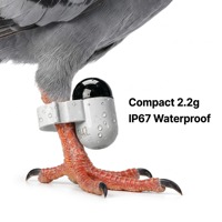 Traceur GPS ultra-léger pour pigeons de course, avec 30 jours d'autonomie et un boîtier IP67, pour les amateurs de pigeonnage
