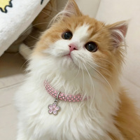 Collier de luxe pour animaux de compagnie avec strass élastiques, bijoux pour chien, collier pour chat, accessoires pour animaux