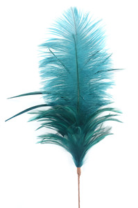 Tallo de pluma de avestruz teñida al por mayor de 2017 Plumas de avestruz decorativas para fiesta - Product Image 4