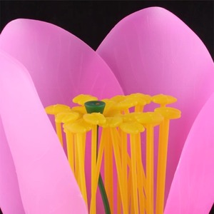 نموذج تشريحي مكبر لأجزاء داخلية للزهور: أسدية، بتلات، زهرة عباد الشمس، زهرة التفاح، زهرة اللفت، مصنوع من البلاستيك - Product Image 4