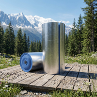Isolation thermique pour bâtiment, film isolant résistant à la chaleur en mousse XPE et feuille d'aluminium pour fenêtres, portes et maisons