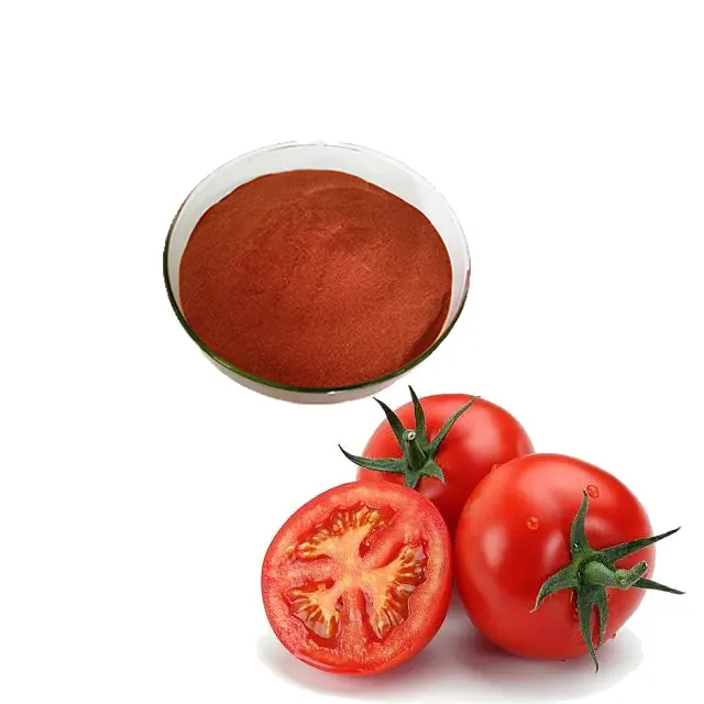 Wholesale 100% Natural Tomato Powder in Bulk Spray Dried Tomato Powder