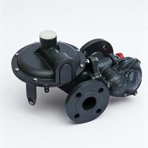 RTZ-25 (L) / 0.4FQ型ガス圧力調整器 LPG、ヘリウム、プロパン、アルゴン、天然ガス用 金属製 1年保証 - Product Image 2