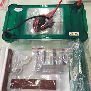 Sistema <span class=keywords><strong>de</strong></span> electroforesis en Gel, SPBT electroforesis Horizontal <span class=keywords><strong>de</strong></span> laboratorio, precio - Product Image 2