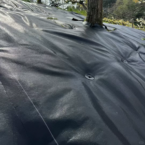 Toile de paillage tissée en PP robuste, couverture de sol durable pour serre et jardin, tissu respirant anti-herbe - Product Image 6