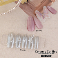 Gels UV Magnétiques Longue Durée Brillants pour Ongles – Gels Effet Œil de Chat Céramique DIY pour Designers