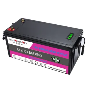 Factory price 24v 200ah lithium iron phosphate battery with 10 year life 24 volt lifepo4 li ion battery 100ah for energy storage