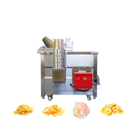 Équipement de friture semi-automatique en parfait état pour les frites, les chips de pommes de terre, les hôtels, machine à fabriquer des chips de pommes de terre