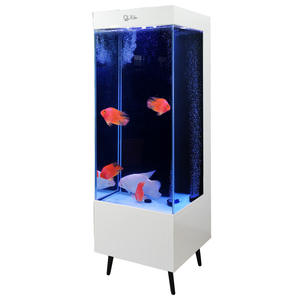 40L Glazen Rechthoekig Verticaal Goudvis <span class=keywords><strong>Aquarium</strong></span> Modern Visbak met Automatisch Filtersysteem Verlichting 220V Woonkamer - Product Image 5