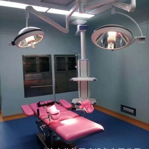 Medical Led Surgical Shadowless Lamp 26000 Lm Ce Certified For Dental And Pet Use - Product Image 4