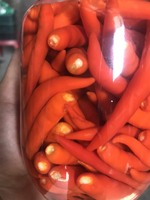 Eingelegte Rote Chili-Paprika in Trommelverpackung Saure Salz-Gemüsekonserven Topseller Tomate Gurke Ananas