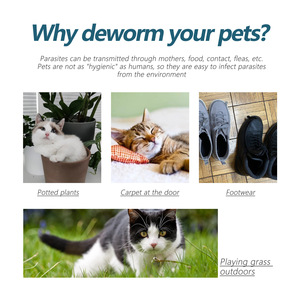 Lotion Traitement Anti-Puces et Anti-Lentes pour Animaux – Contrôle Topique des Puces et Tiques pour Chats et Chiens – Écologique, Nettoyant Cutané en Plastique - Product Image 3