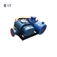 Souffleur d'air Roots électrique à refroidissement par eau, robuste, en acier inoxydable, à double réservoir d'huile, modèle RSR-200H
