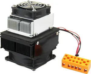 Pendingin dan pemanas termoelektrik Mini Peltier portabel 24W 12V, pendingin udara untuk vaksin Biotech