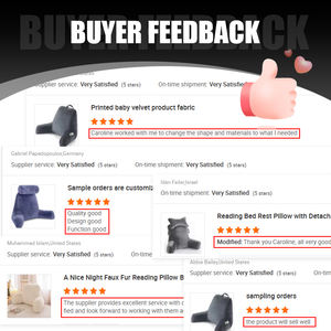 Bantal Sandaran Punggung Standar Terbaru untuk Duduk, Bantal Kursi Busa Memori yang Dapat Diurai, Sandaran Tempat Tidur untuk Bantal Lengan dengan Kantong - Product Image 5