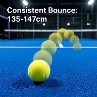 60 balles/paquet, balles de padel approuvées par l'ITF, 45% de feutre de laine naturelle, noyau en caoutchouc hautement élastique, balles d'entraînement pour padel