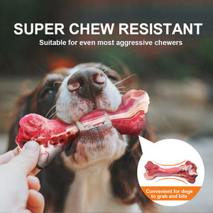 Jouet <span class=keywords><strong>à</strong></span> mâcher pour <span class=keywords><strong>chien</strong></span> en caoutchouc naturel Corepet, interactif, pour le nettoyage des dents, la dentition, forme d'os réaliste, pour chiens de petite, moyenne et grande taille - Product Image 5