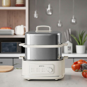 Лидер продаж, двухслойный Электрический отпариватель для пищевых продуктов из нержавеющей стали, умный Многофункциональный кухонный прибор для домашнего использования - Product Image 1