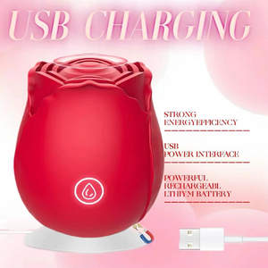 Oeuf vibrant en forme de rose à 12 modes de succion manuelle, masseur clitoridien à aspiration, ABS + silicone - Product Image 4