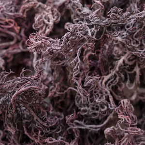 Seamoss | แห้งสีน้ำตาลเหลืองม่วงสาหร่าย Eucheuma cottonni เวียดนาม100% ธรรมชาติจากเวียดนาม - Product Image 1