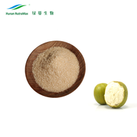 Zero Calorie Sugar Substitute Monk Fruit Erythritol Blend Powdered Monk Fruit & Erythritol Blend