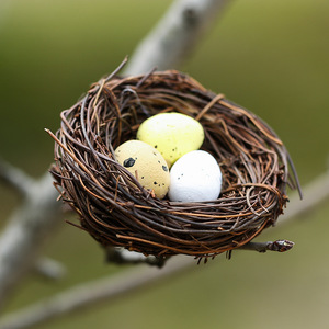 Diy Simulated Bird Nest With <b>Eggs</b> Miniature Ornament For Desktop Plant Landscaping Easter <b>Decoration</b> - Product Image 2