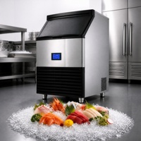 Machine à glace pilée commerciale 200 kg/24h CE, grande production industrielle, bac de 150 kg, minuterie pour comptoir de présentation de fruits de mer en supermarché